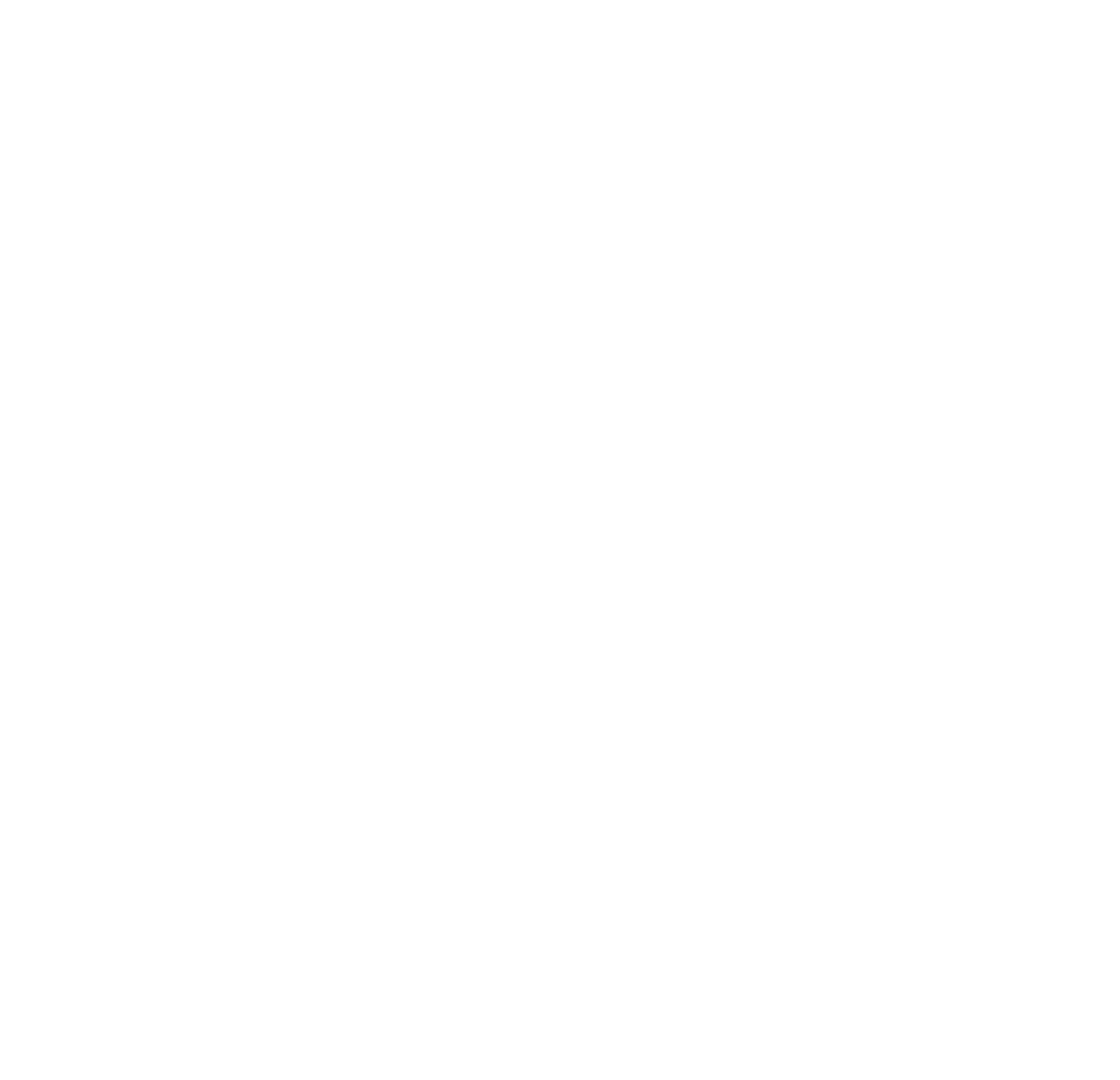 hoka run run logo